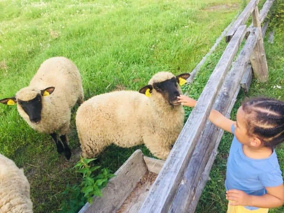 Sturmai Namelis Nr 1 Adeles Sodyba מראה חיצוני תמונה